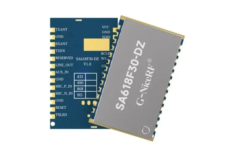 Walkie-talkie module