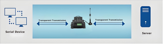 Transparent transmission module