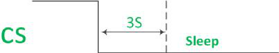 CS Pin Control Sleep Mode Timing Diagram CS Pin Control Sleep Mode Timing Diagram