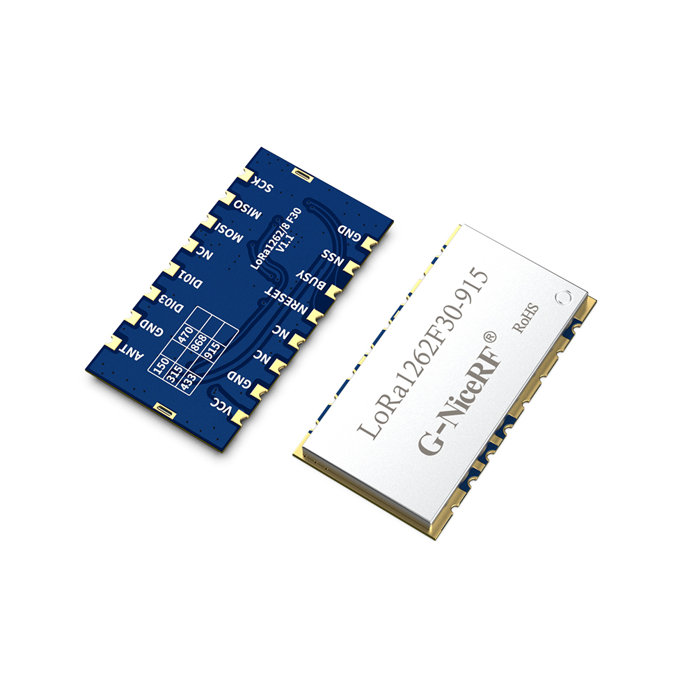 LoRa1262F30 : SX1262 2W TCXO  LoRa Module With  ESD Protection