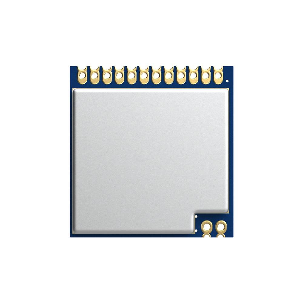 LoRa1276-868: SX1276 868MHz  LoRa Module With ESD Protection