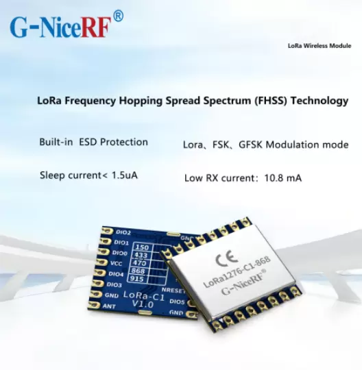 Common Signal Interference Phenomena and Handling Strategies in LoRa Module Transmission and Reception