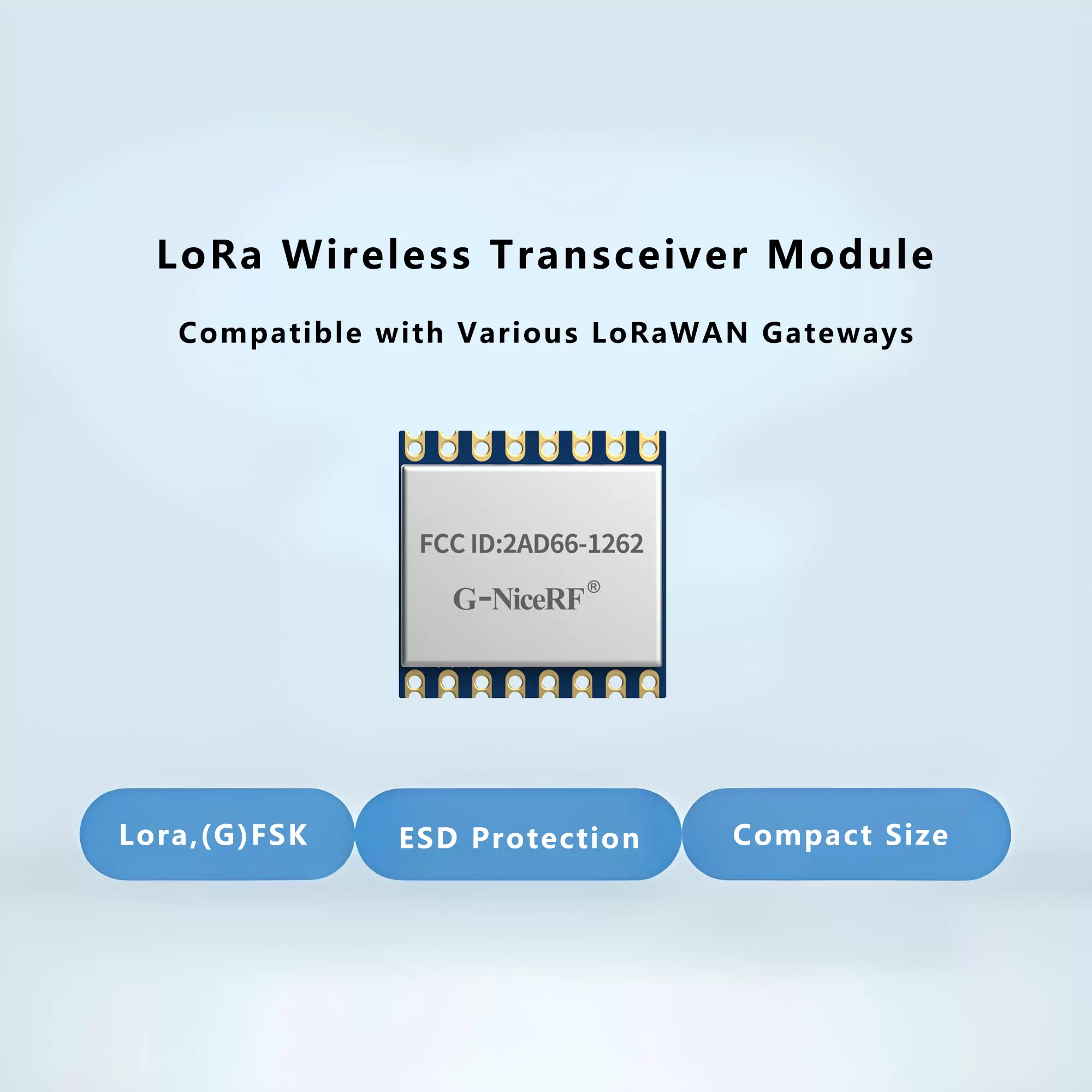 Wireless Meter Reading Solution: A High-Stability, Low-Power Remote Meter Reading System Based on LoRa